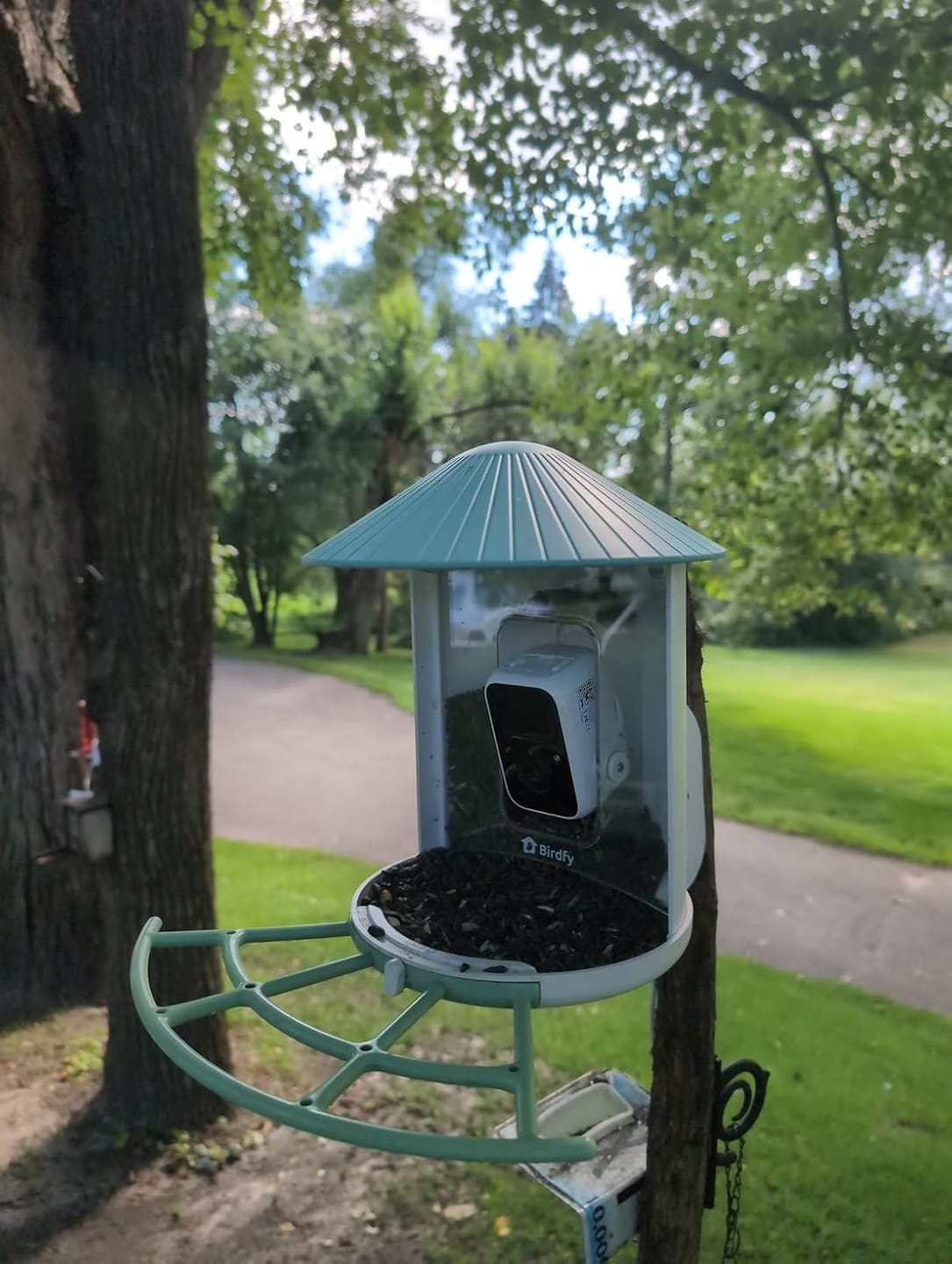 Customer photo review of Birdfy Feeder with Solar Panel - Solar-Powered Smart Bird Feeder with Camera