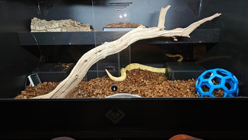 Customer photo review of XT4 BIO24/30D (48Lx30Dx24H) - STACKABLE