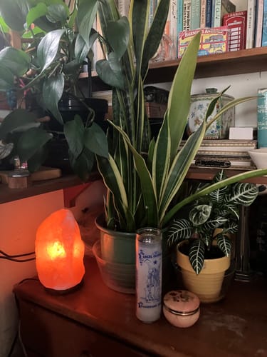 Customer photo review of Natural Pink Himalayan Salt Lamp 9-11 Lbs