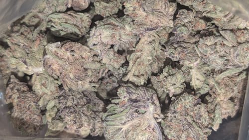 Customer photo review of Gas Candy - Bulk - Hybrid