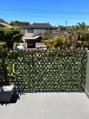 Customer photo review of Premium Jasmine Artificial Hedge Extendable Trellis / Screen 2 Meter By 1 Meter UV Resistant (PVC)
