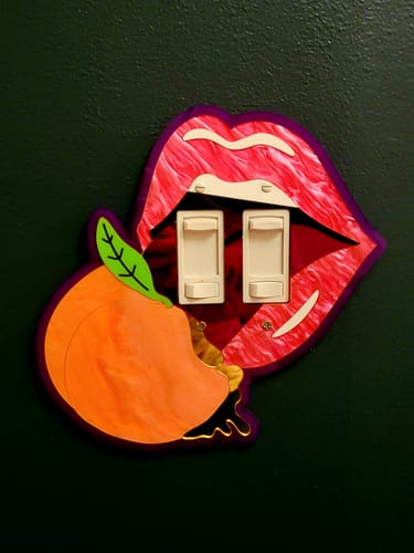 Customer photo review of The Dirty Peach Light Switch Cover