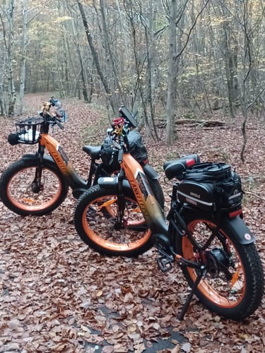 Customer photo review of Lankeleisi MG600 Plus 2025 Version * 2 E-Bikes Bundle