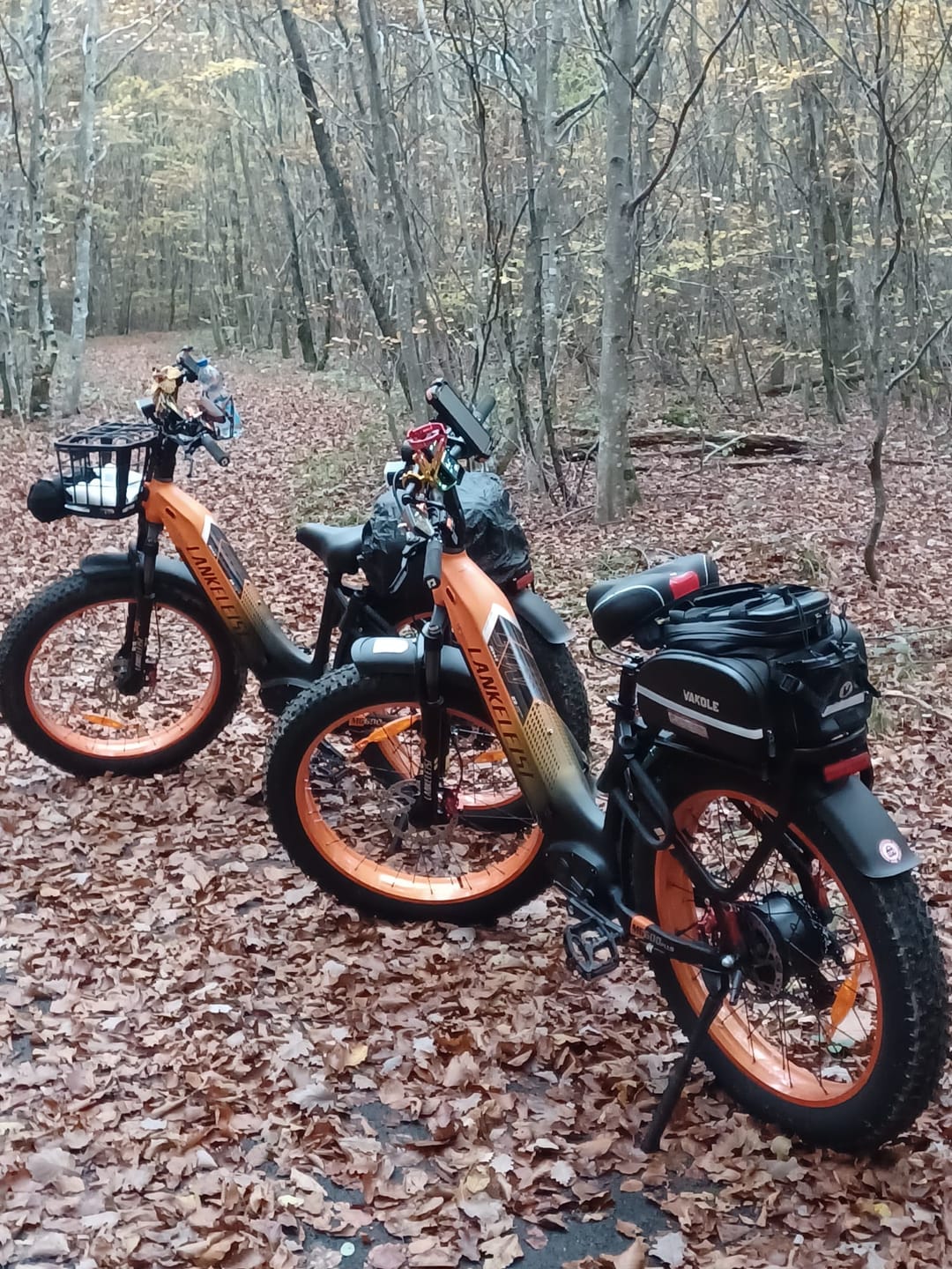 Customer photo review of Lankeleisi MG600 Plus 2025 Version * 2 E-Bikes Bundle