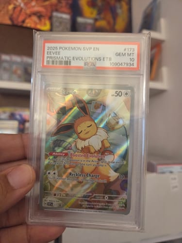 Customer photo review of Resealable PSA Graded Card Bags