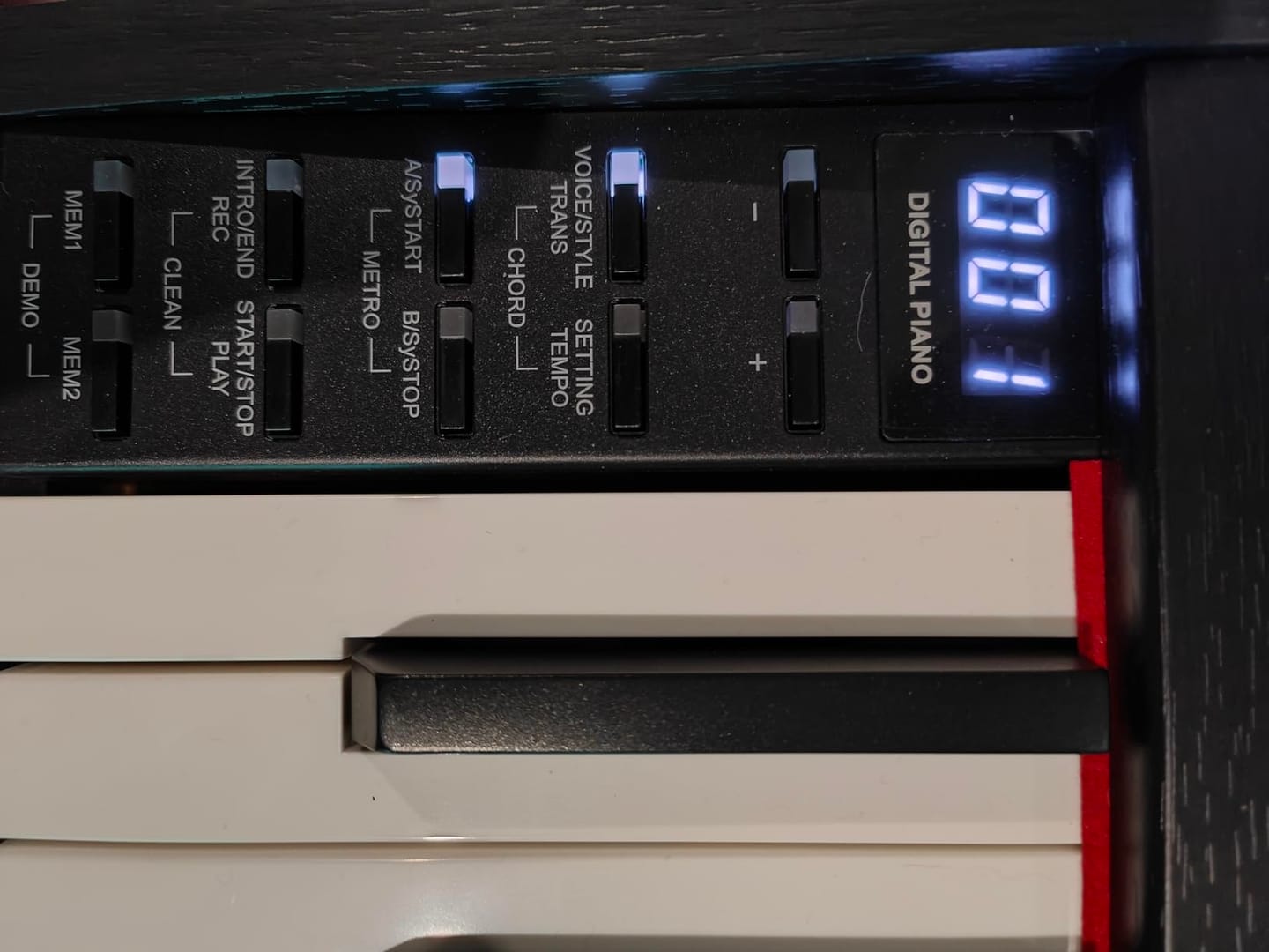 Customer photo review of Donner DDP-50 88 touches Lestées Piano numérique
