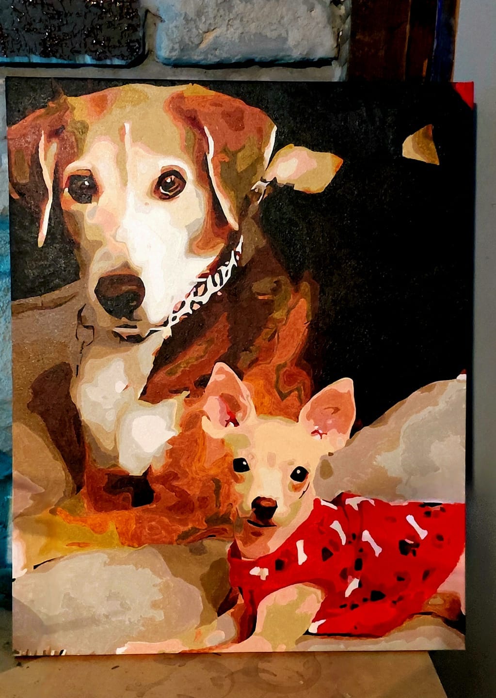Customer photo review of Custom Paint by Numbers Kit