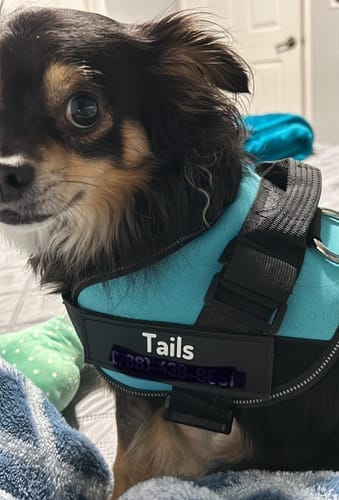 Customer photo review of Black Friday Walking Set
