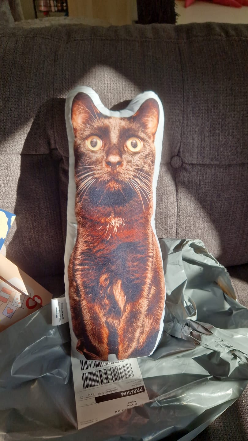 Customer photo review of Personalisiertes Katzenkissen
