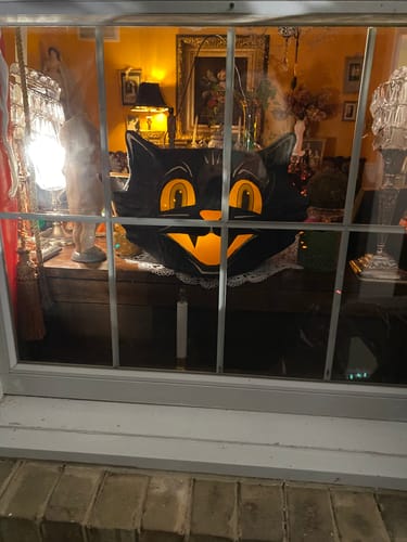 Customer photo review of Cat Candy Bucket