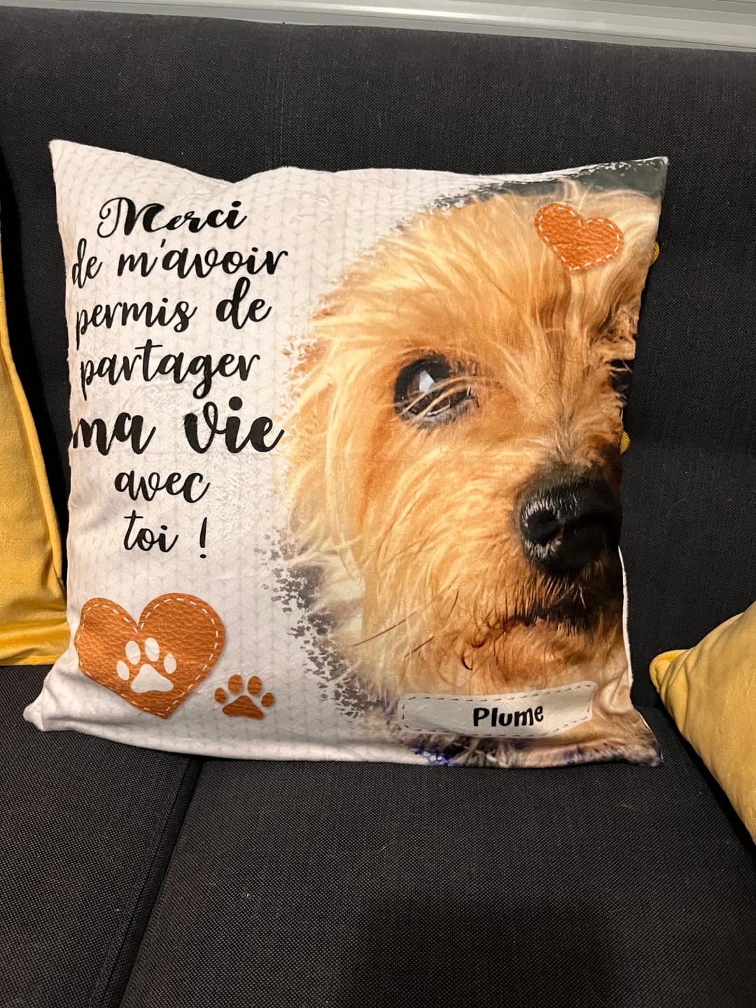 Customer photo review of Merci - Coussin personnalisé