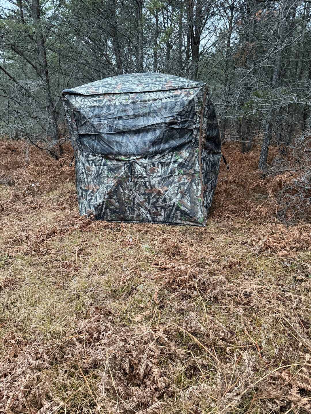 Customer photo review of Tidewe OptiVue 360° Ultra-HD Pop-Up Ground Blind (90° Full-Access Door)