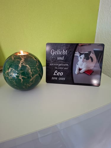 Customer photo review of Katzen Gedenktafel mit Foto & Spruch (UV- & Wetterfest)