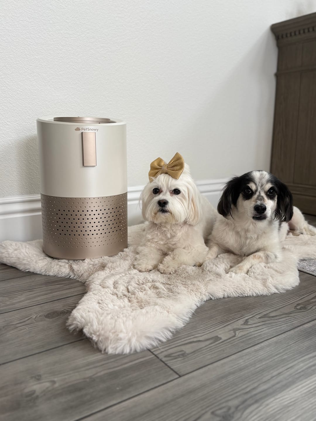 Customer photo review of Pet Air Purifier