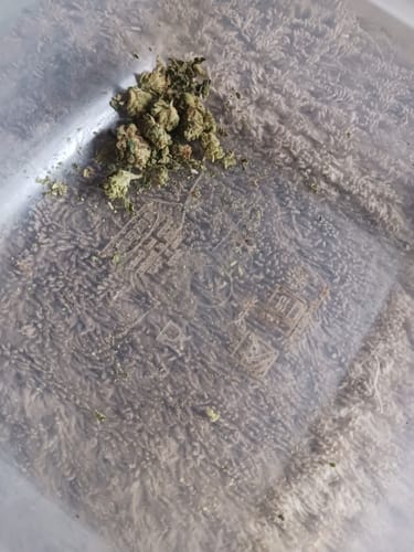 Customer photo review of Alien OG - 14 Grams Littles - Indica