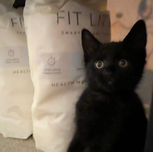 Customer photo review of 1 month supply - 6 Cats