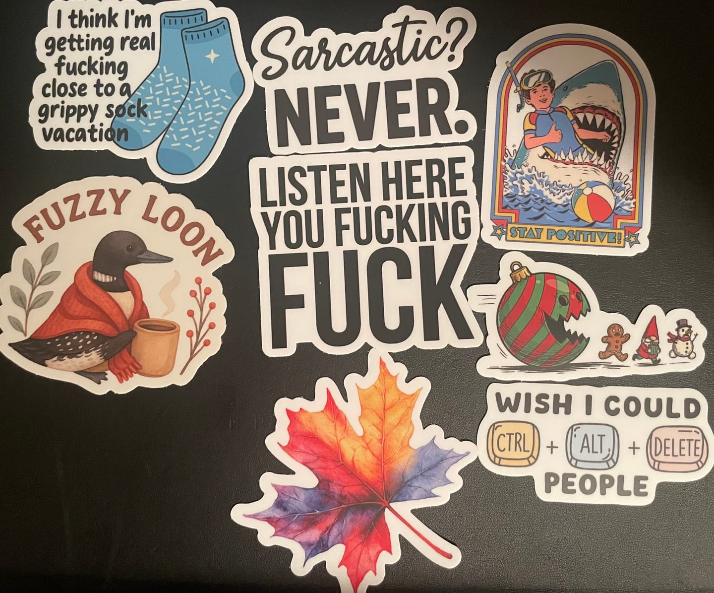Customer photo review of STICKER CLUB | Monthly Sticker Subscription