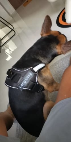 Customer photo review of Black Friday Walking Set
