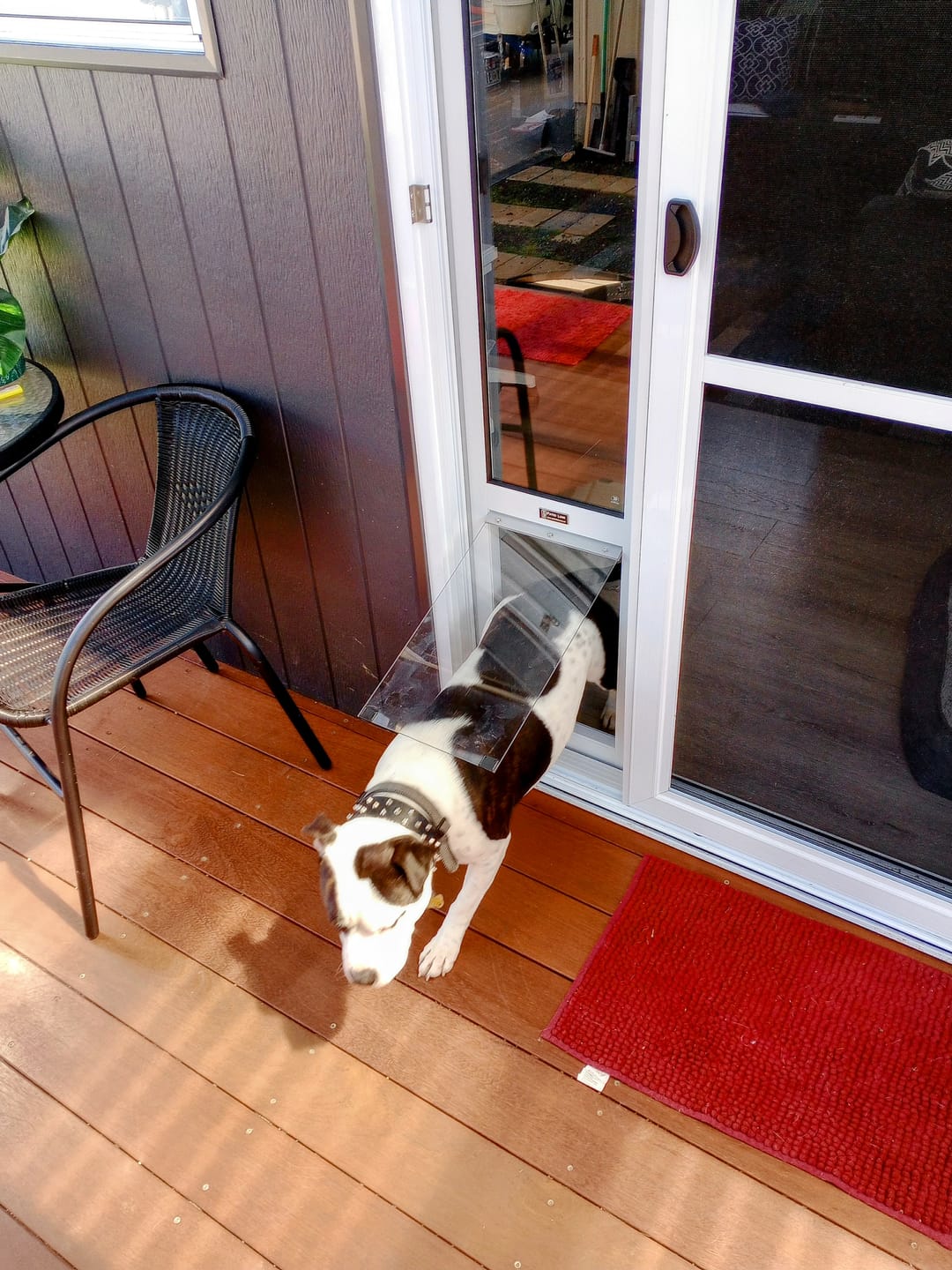Customer photo review of Adaptor (Close+Lock Glass and Fly Screen door)