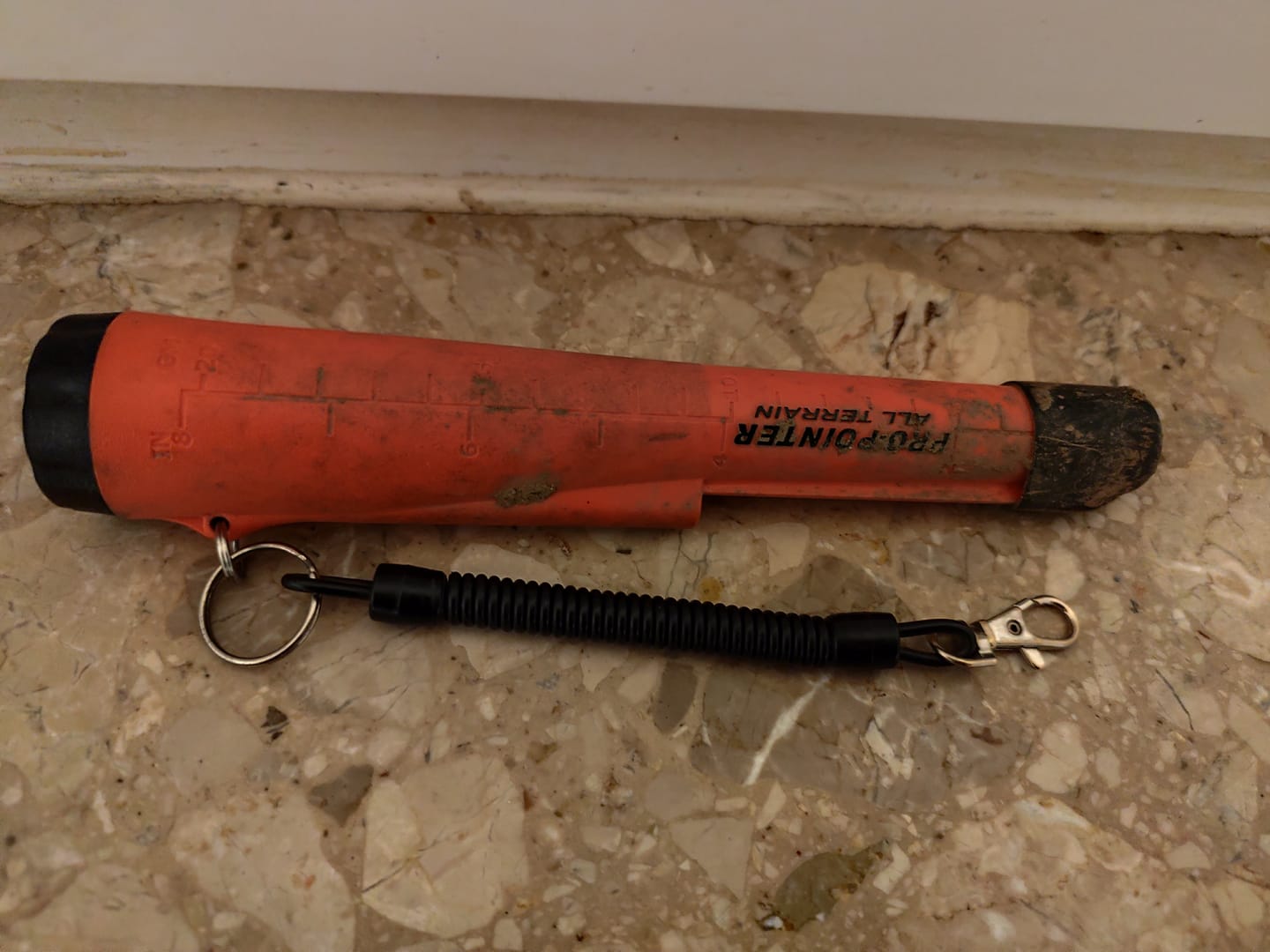 Customer photo review of Garrett Pro-Pointer AT
