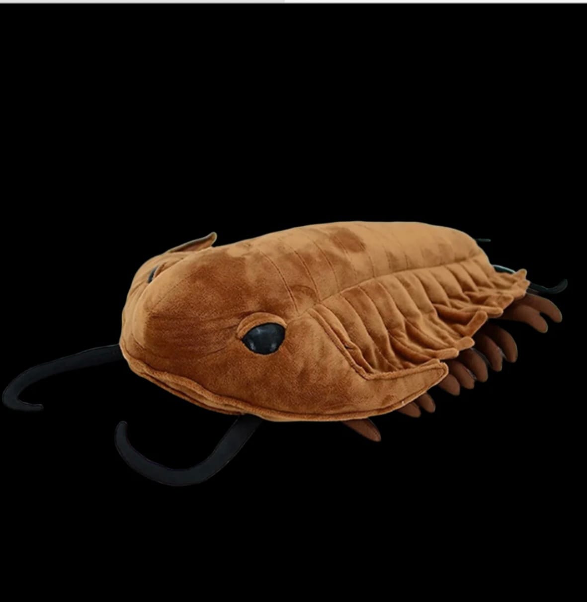 Customer photo review of Trilobite Arthropod Soft Stuffed Plush Toy
