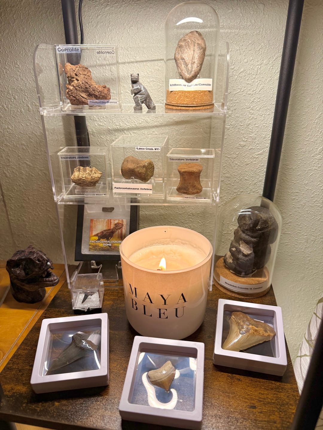 Customer photo review of The Original Shark Tooth Candle