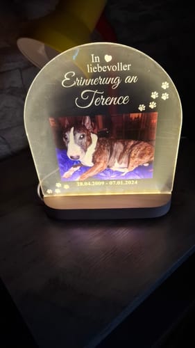 Customer photo review of Zur liebevollen Erinnerung – LED-Lampe für Hund/Katze