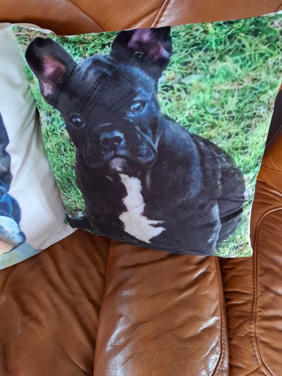 Customer photo review of Avec photo - Coussin personnalisé
