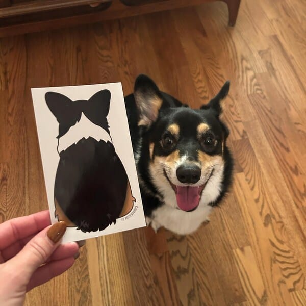 Customer photo review of Welsh Corgi Behind Sticker