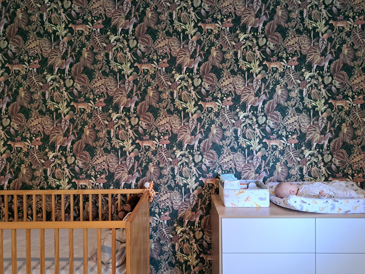 Customer photo review of Living Jungle Chevron Wallpaper - Green