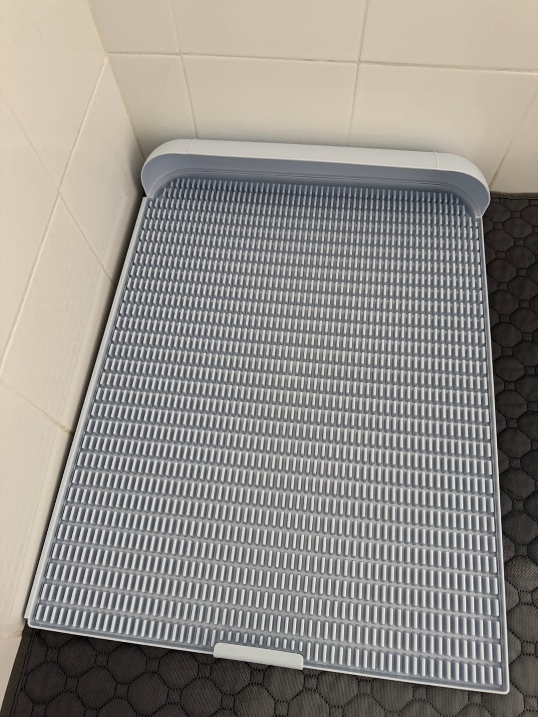 Customer photo review of Extended Protrusion Potty Pad (Size L)