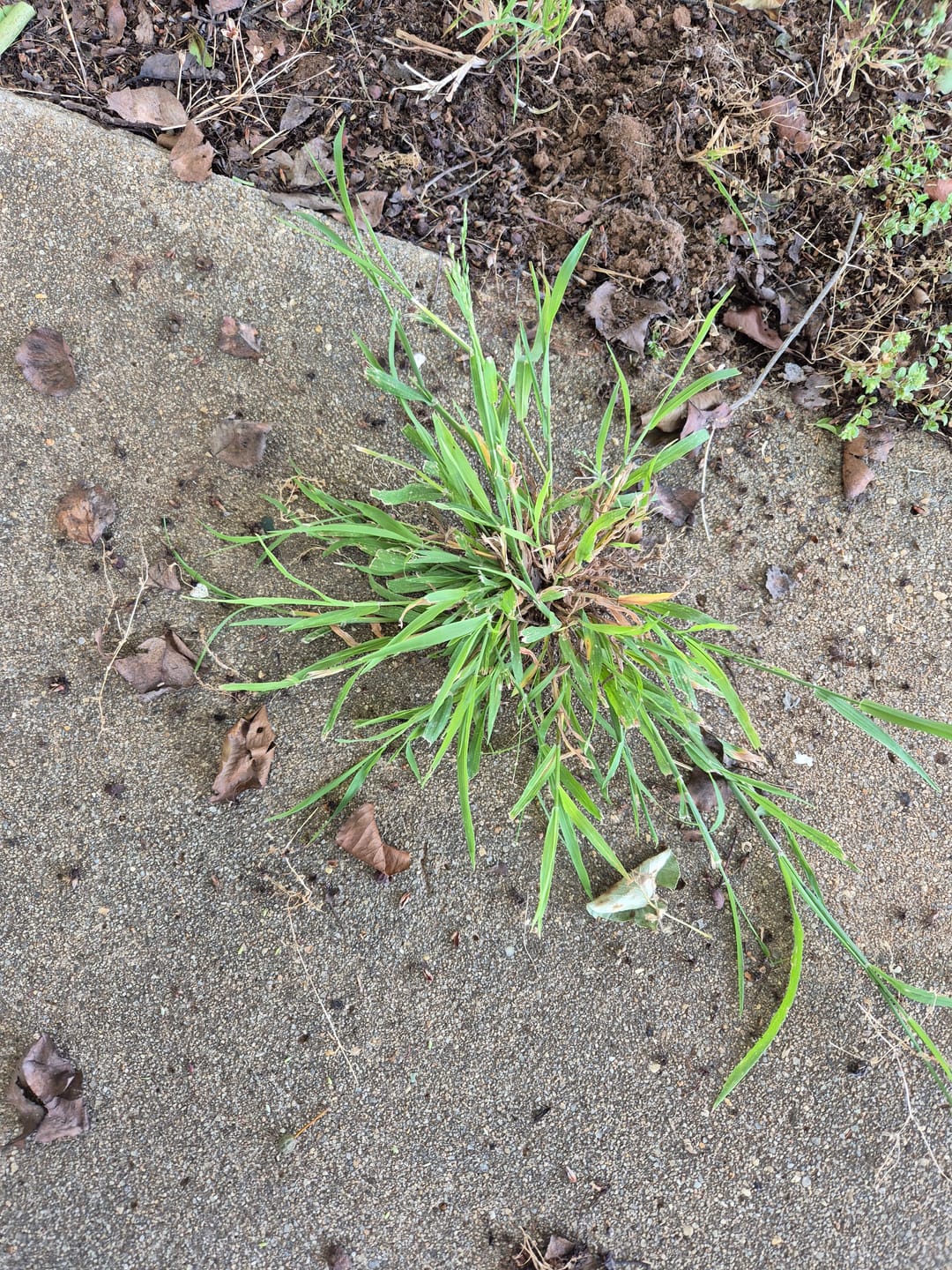 Customer photo review of Uprooting Tool Pro