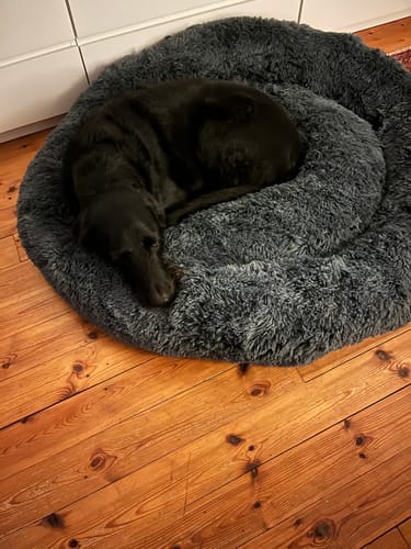 Customer photo review of CalmBed - Motverkar stress & hjälper mot ångest