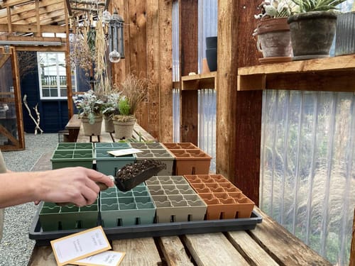 Customer photo review of Seed Starting Kit