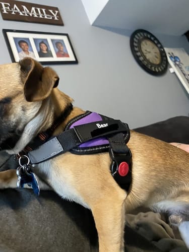 Customer photo review of Black Friday Walking Set