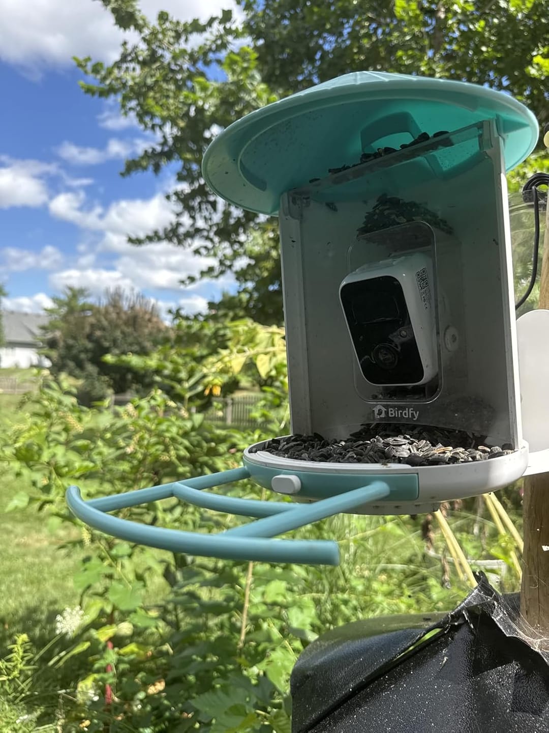 Customer photo review of Birdfy Feeder with Solar Panel - Solar-Powered Smart Bird Feeder with Camera