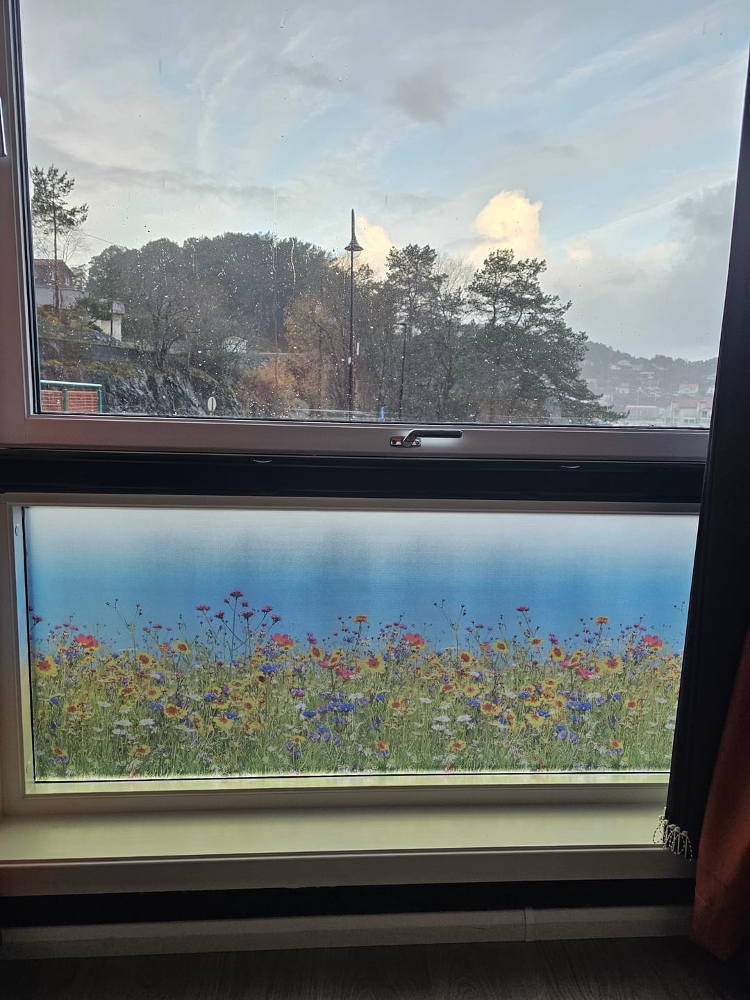 Customer photo review of Static Premium Spring Flowers vindusfolie
