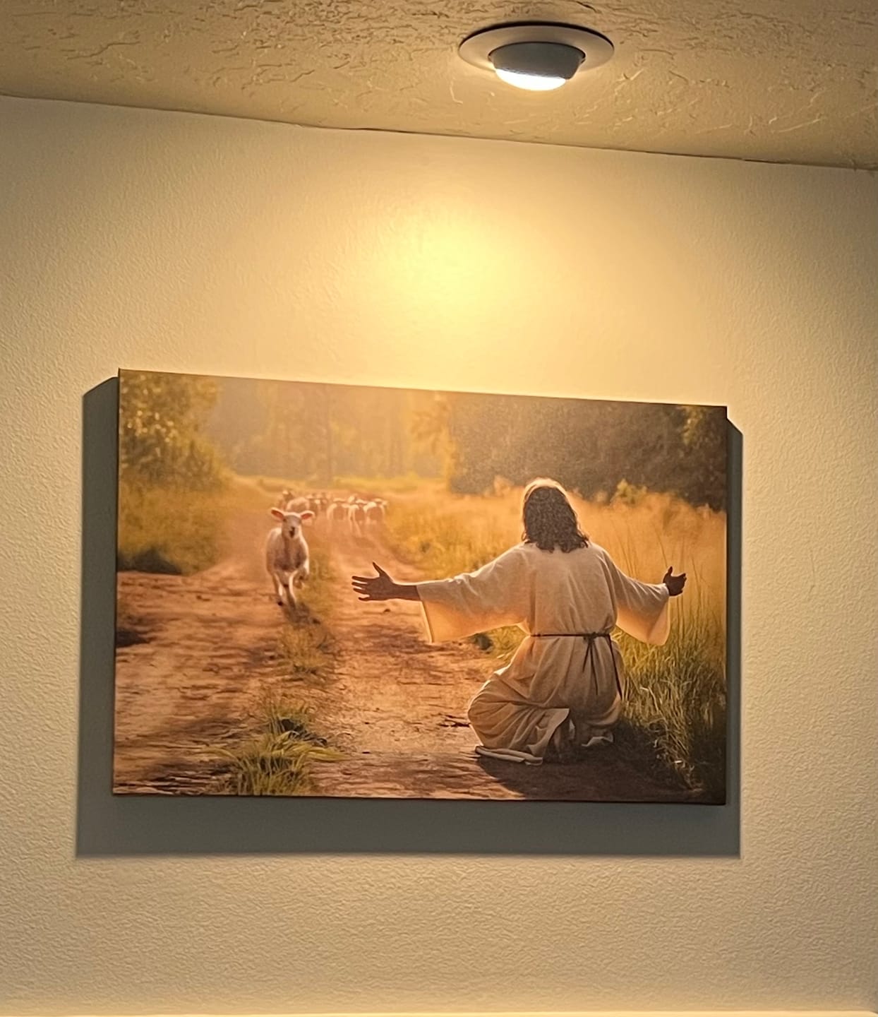 Customer photo review of Lamb Runs to Jesus Wall Art Canvas