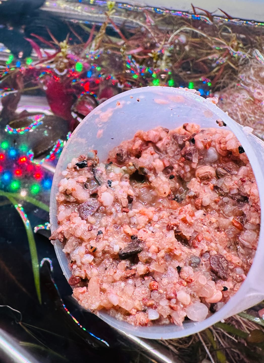 Customer photo review of WIO - Tan Savage Riverbed
