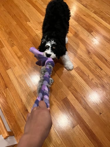 Customer photo review of Fleece & Rabbit Fur Tug Toy