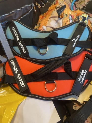 Customer photo review of Black Friday Walking Set