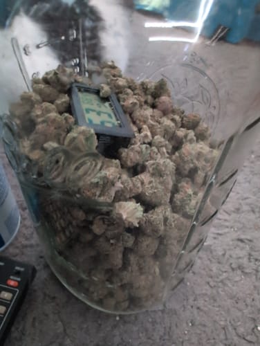 Customer photo review of Lemonatti Littles - Bulk Littles - Sativa