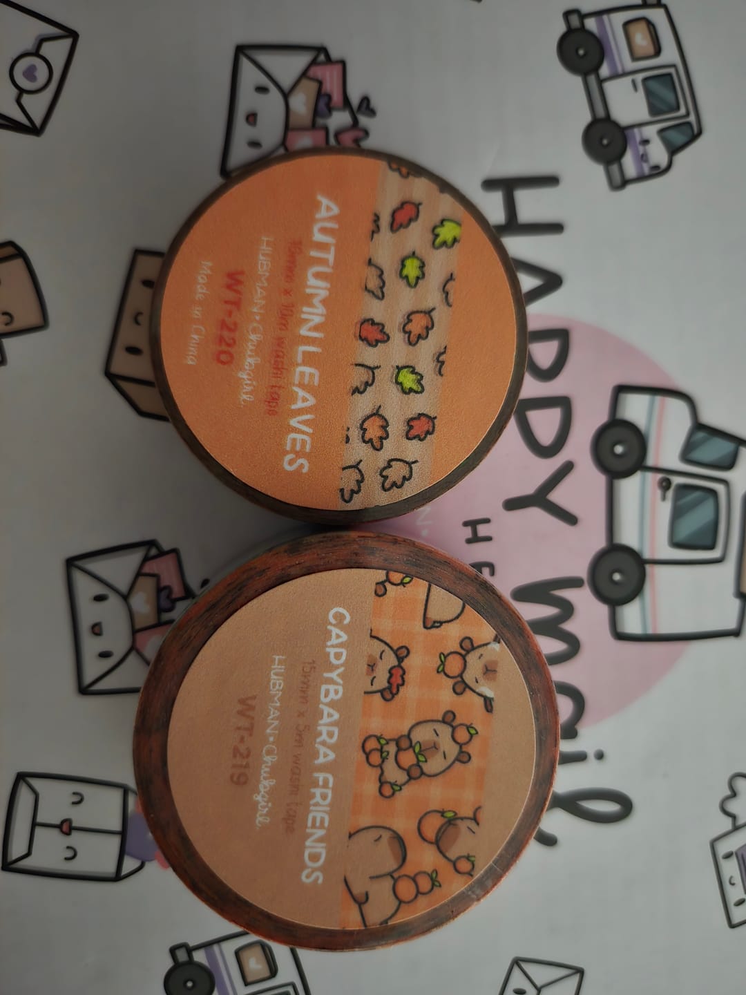 Customer photo review of Autumn Capybaras Washi Tapes (Set of 2)