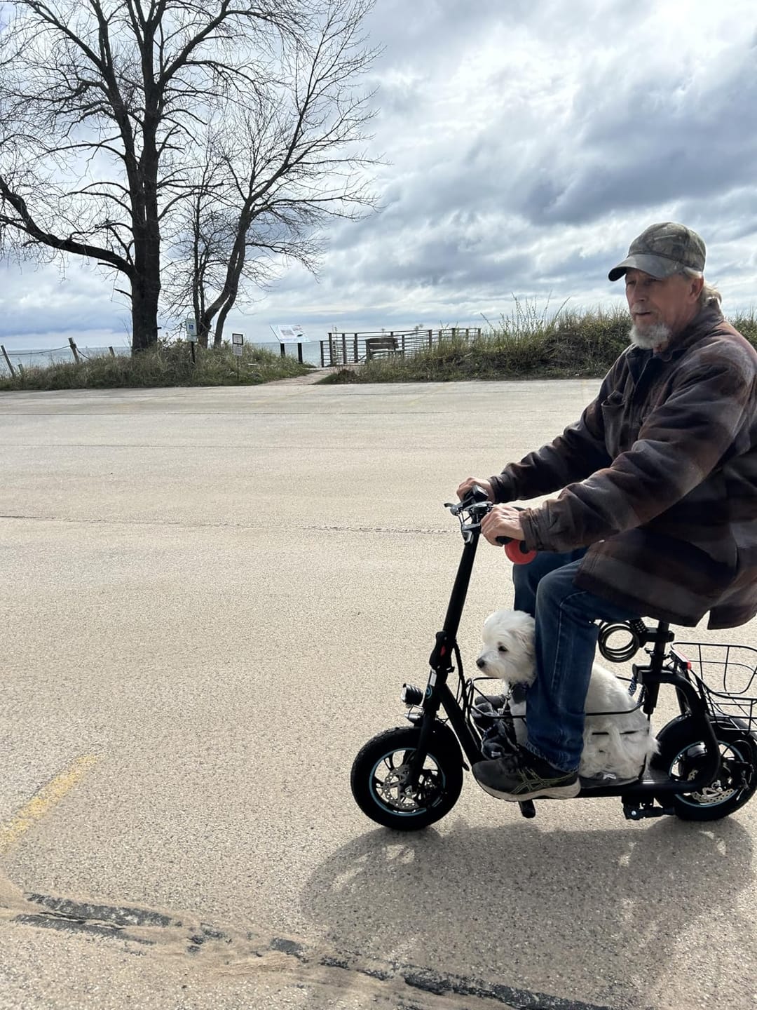 Customer photo review of Gyroor C1S Electric Scooter with seat, Removable Dual Baskets - 550W Motor(Peak 800W) and Top Speed 18.6MPH