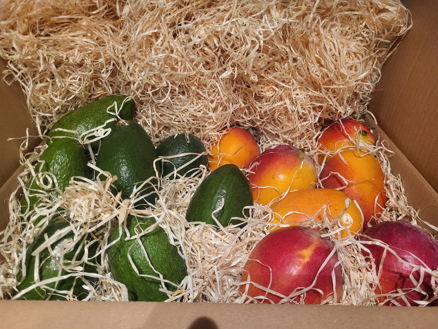 Customer photo review of Mango-Avocado Bio Box Aktionspreis % 4kg