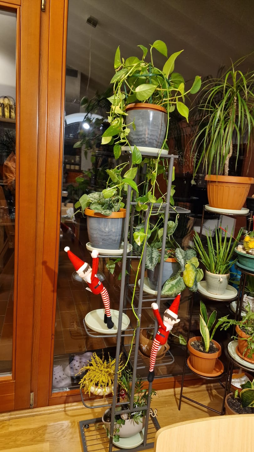 Customer photo review of Etajera BAMIR TIP 4, gri, metal, 44x22x141 cm