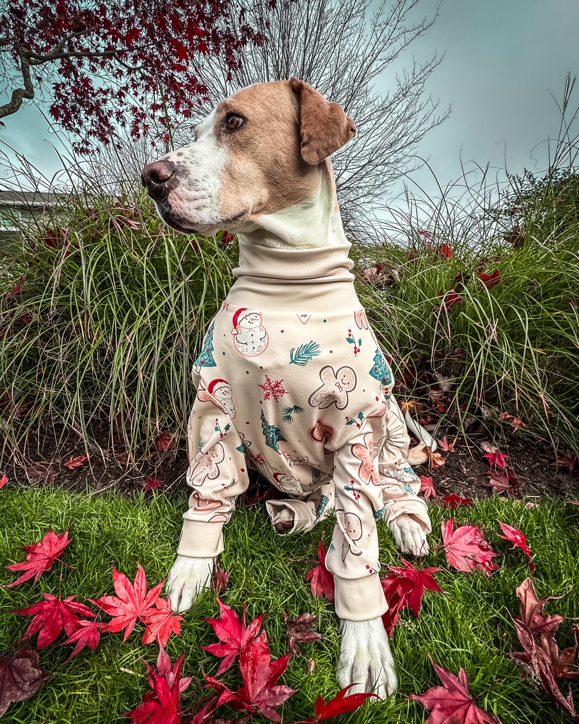 Customer photo review of Dog Christmas Pajama - Frosty Night