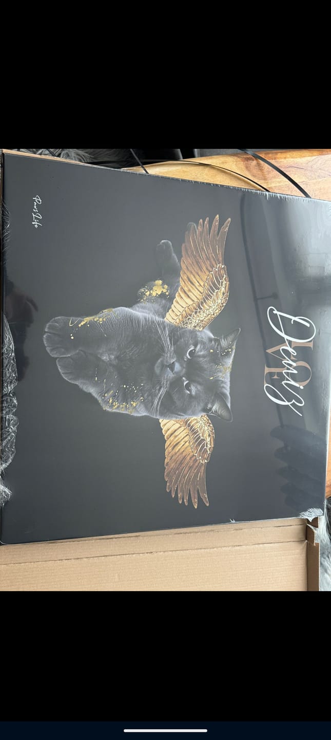 Customer photo review of Personalisiertes Portrait - Goldener Engel Stil