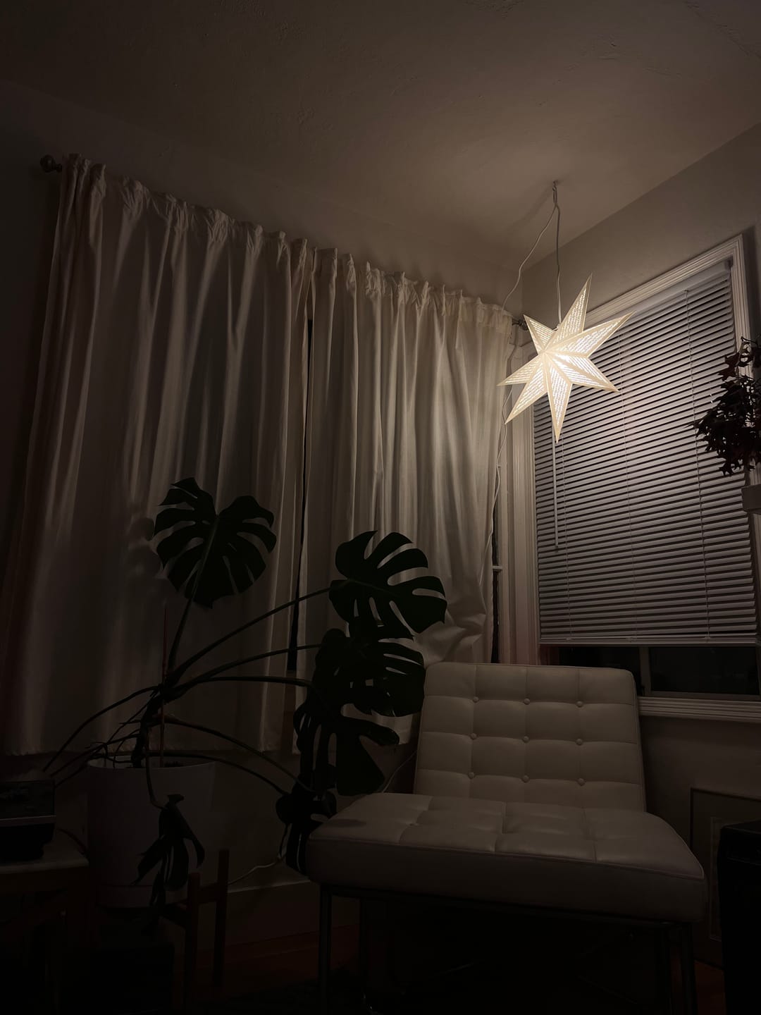 Customer photo review of Paper Star Lantern Decoration (22 inch Cosmic White 7-Point Lighted Star)