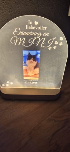 Customer photo review of Zur liebevollen Erinnerung – LED-Lampe für Hund/Katze